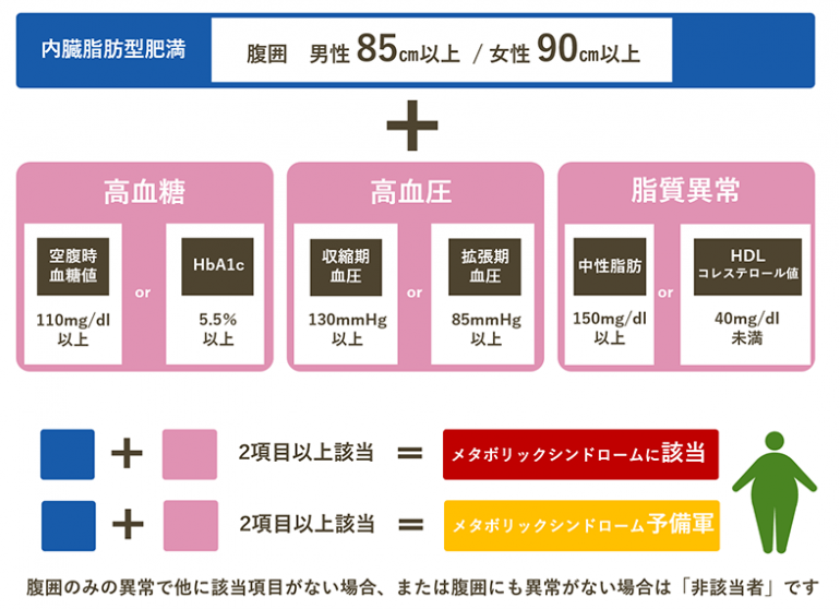 肥満症・メタボリックシンドローム