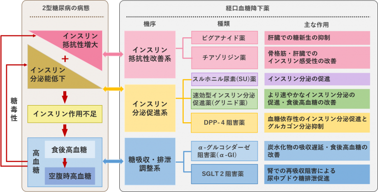 堺市で糖尿病の薬物治療