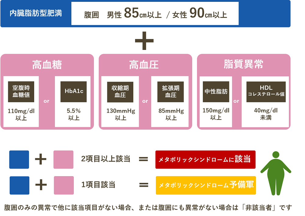 肥満症・メタボリックシンドローム