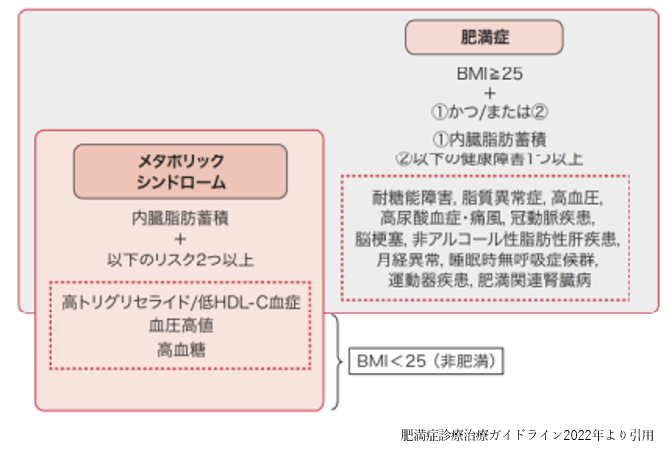 肥満症とメタボリックシンドロームの関係